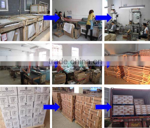 Cut Edges Single Frosted End Microscope Slides