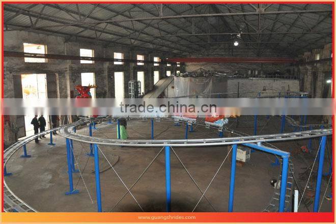 Amazing! outdoor roller dragon coaster amusement park games equipment for sale