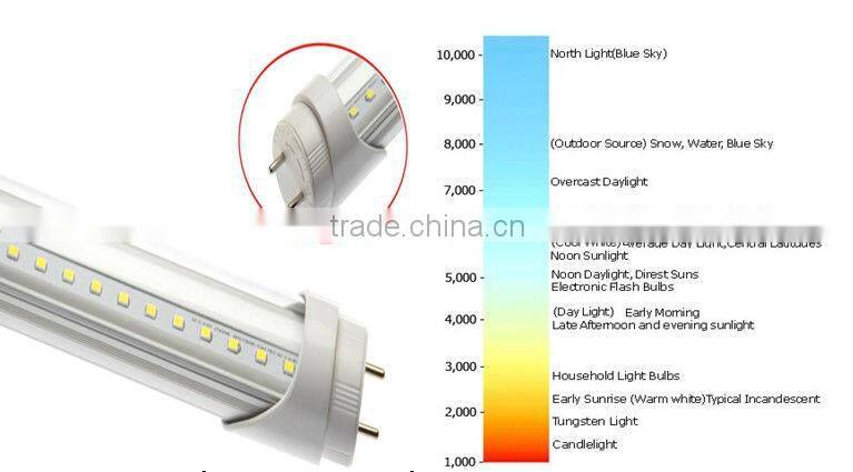 G13 Socket 2 Years Warranty Cri80 Led Circular Tube