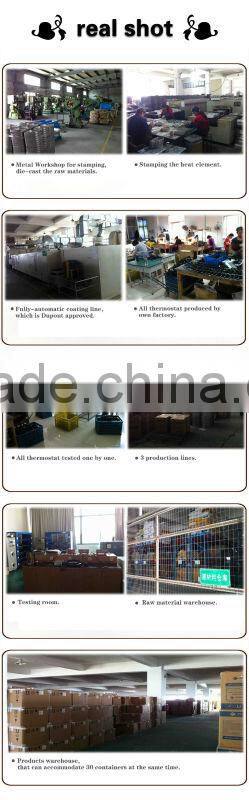 electric pizza pan multi cooker