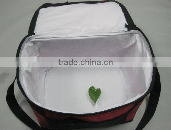 Top grade cheap battery powered cooler bags