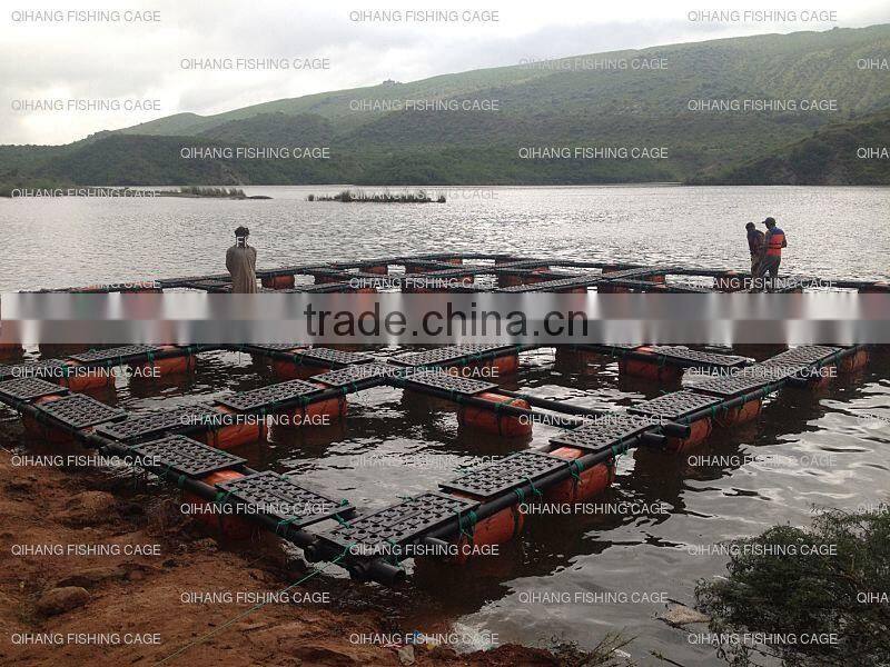 tilapia farm/catfish farm/trout farm/carp farm floating cage