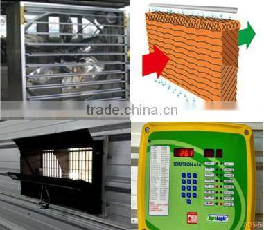 design layer chicken cages