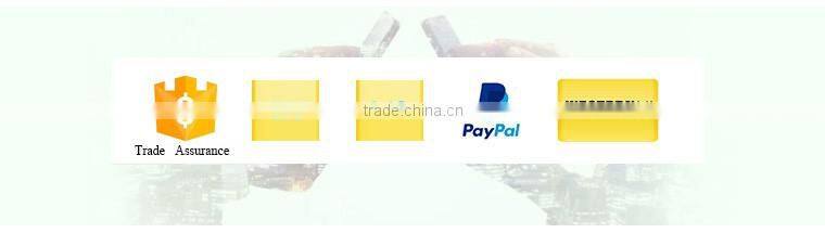 JB-10inch 2 wheel electric self balancing scooter