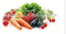 High Quality Double-inverter Vegatable Cutter Machine