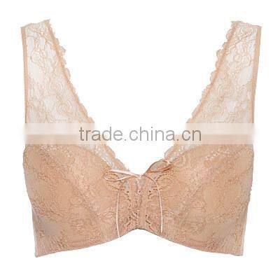 Hot sale fashion sexy ladies bra ,women underwear