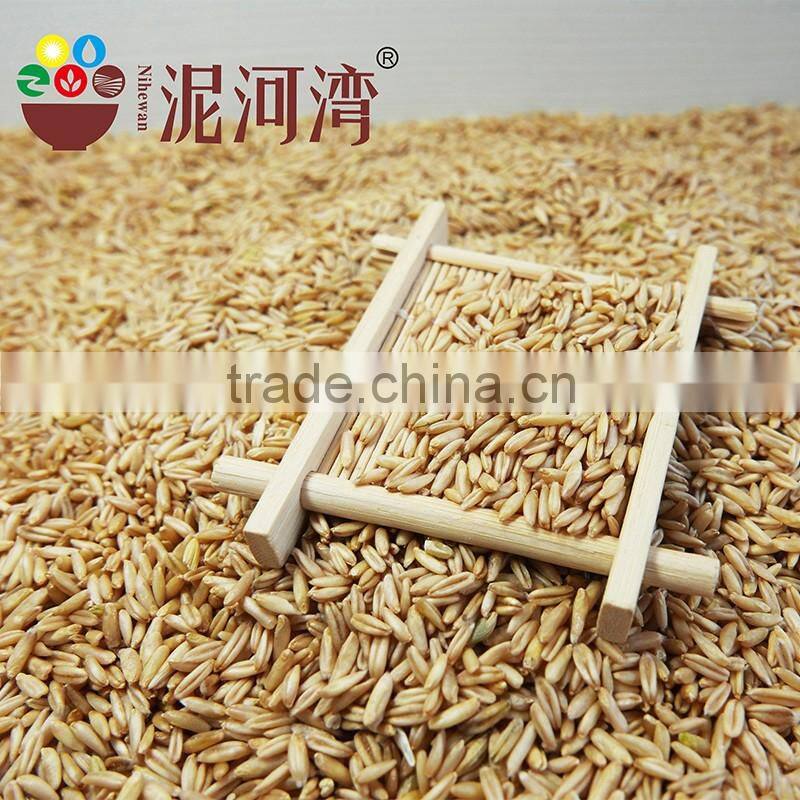 high quality Chinese hulled oats, naked oats, flat oat flakes, rolled oats price