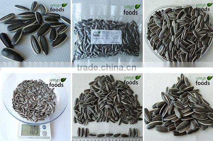 Best Quality Sunflwoer Seeds Factory