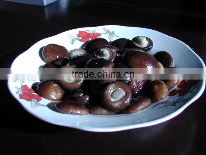 Can (Tinned) Packaging canned mushroom brands