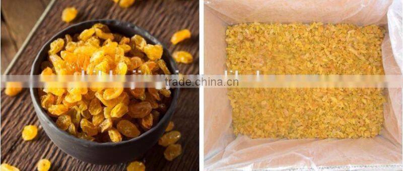 AD sweet dried golden raisins