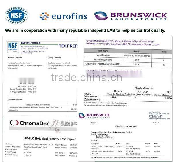 Pure Maca Powder Water Soluble Extract Ratio 4:1,Macamides 10% 40% HPLC