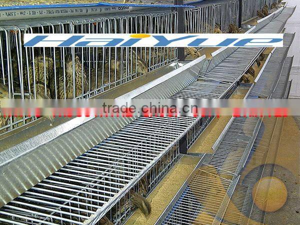 Automatic drinker Quail farming equipment
