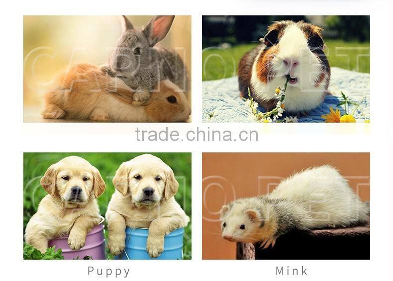 pet product plastic pet cage for rabbit hutch