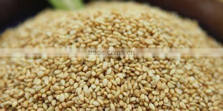 microwave sesame baking/roasting equipment