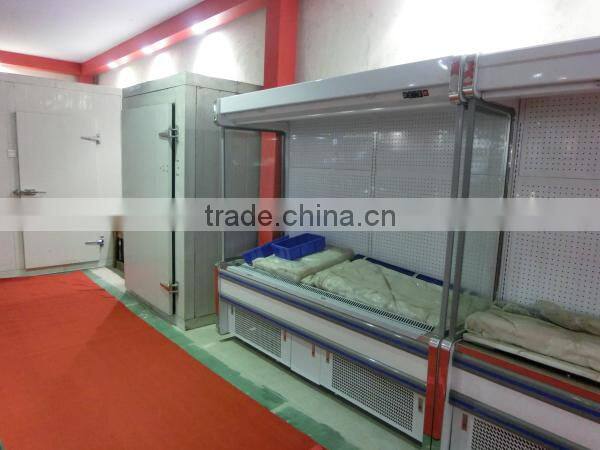 1.5M,2M Supermarket food Display Showcase Freezer(ZQR-20P)