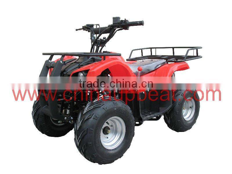 110CC UTILITY ATV WITH UPBEAT BRAND