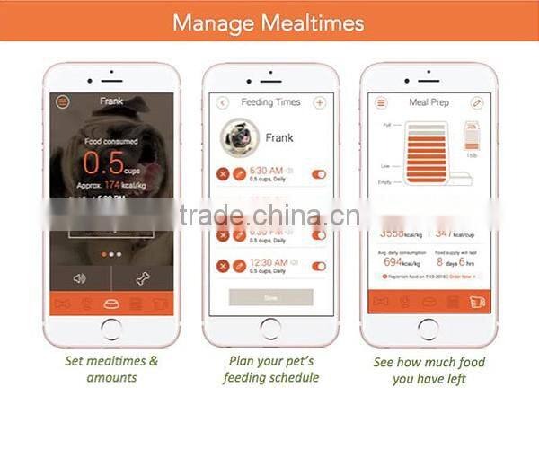 Best automatic dry cat food dispenser,feeder and waterer