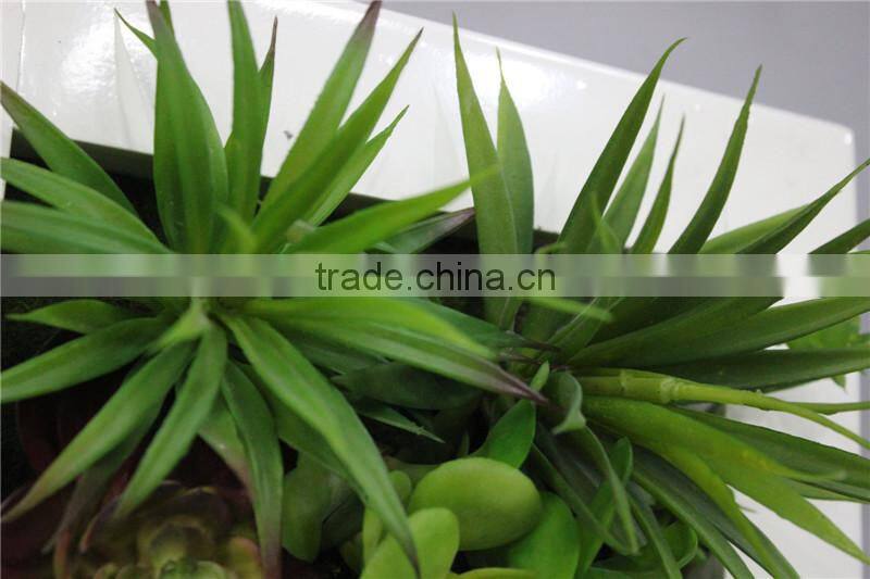 for home garden tiles deco 30*30*7cm paint color indoor artificial succlent boutique plant wall laminate combinations Ejq10 1202