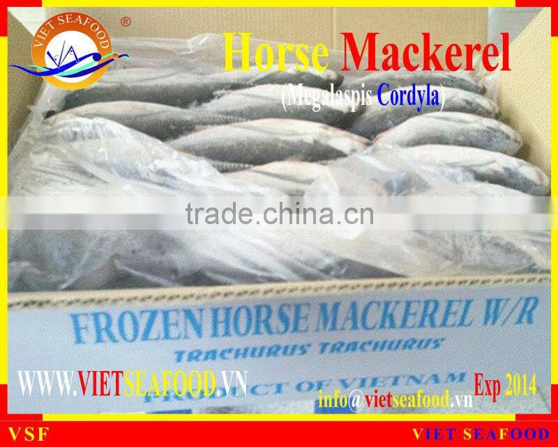 W/R FROZEN HORSE MACKEREL