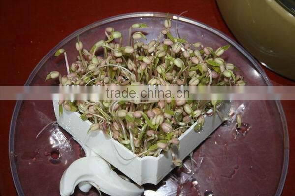 Automatic Sprout Growing Machine--Green Home Appliance--No Chemical