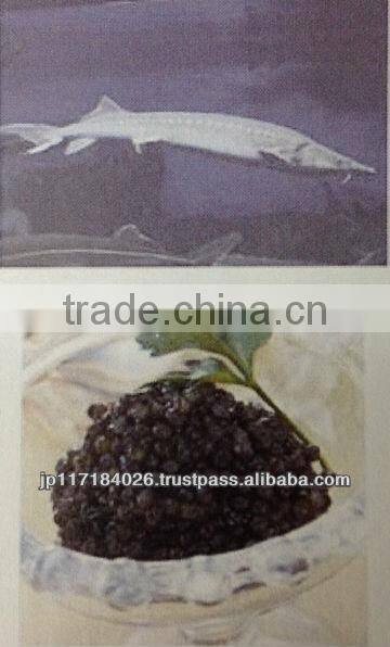 Easy to use and Hot-selling best selling skin care facial mask japan at reasonable prices