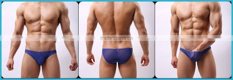 Without Logo Hot Sexi Photo Image Of Transparent Mesh Underwear Briefs Custom SC14