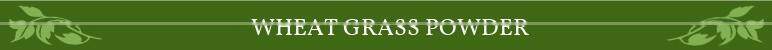 Energy Booster Wheat Grass Powder from Leading Manufacturer at Premium Rate