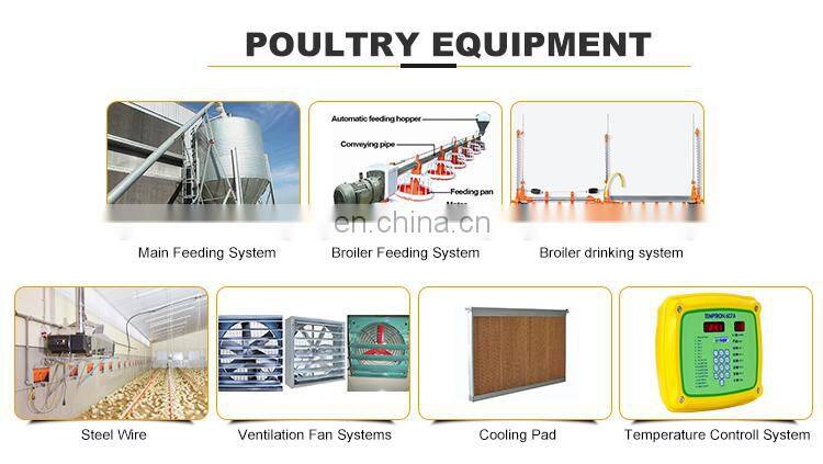 Low Cost Steel Chicken House Construction Poultry Shed Building In Pakistan