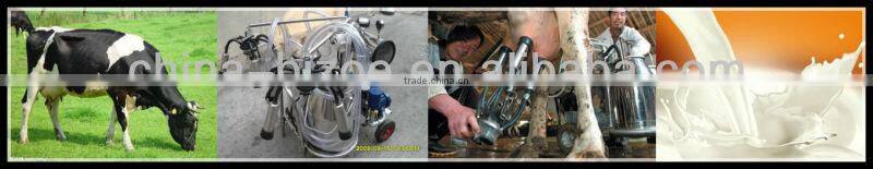 electric/high quality/stainless steel/25L goat milking machine