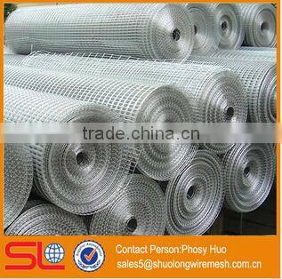 hot dipped cheap galvanized rabbit cage welded wire mesh