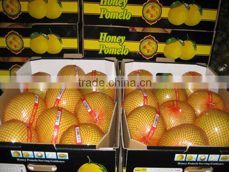 fresh fruit pomelo/big pomelo /grape fruit