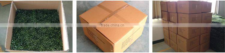plastic artificial boxwood topiary hedge leaf wall