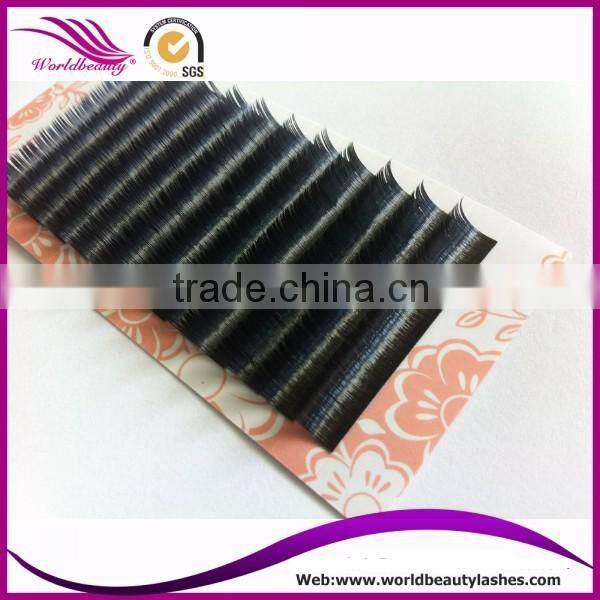 Top quality Wholesale price eyelash extension
