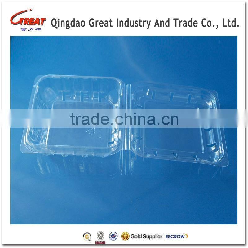 Blueberry Plastic Punnet Disposable Fruit Container