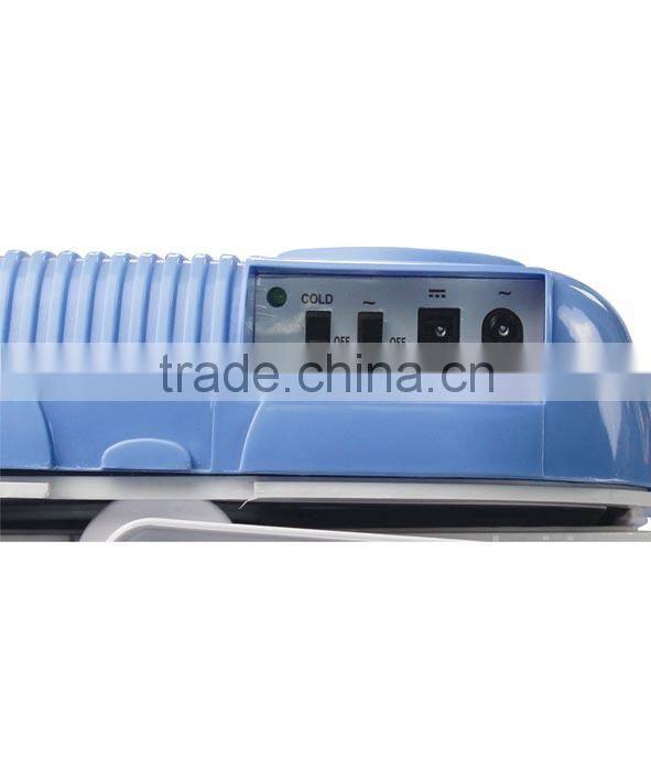AC&DC electric mini car cooler box with handle