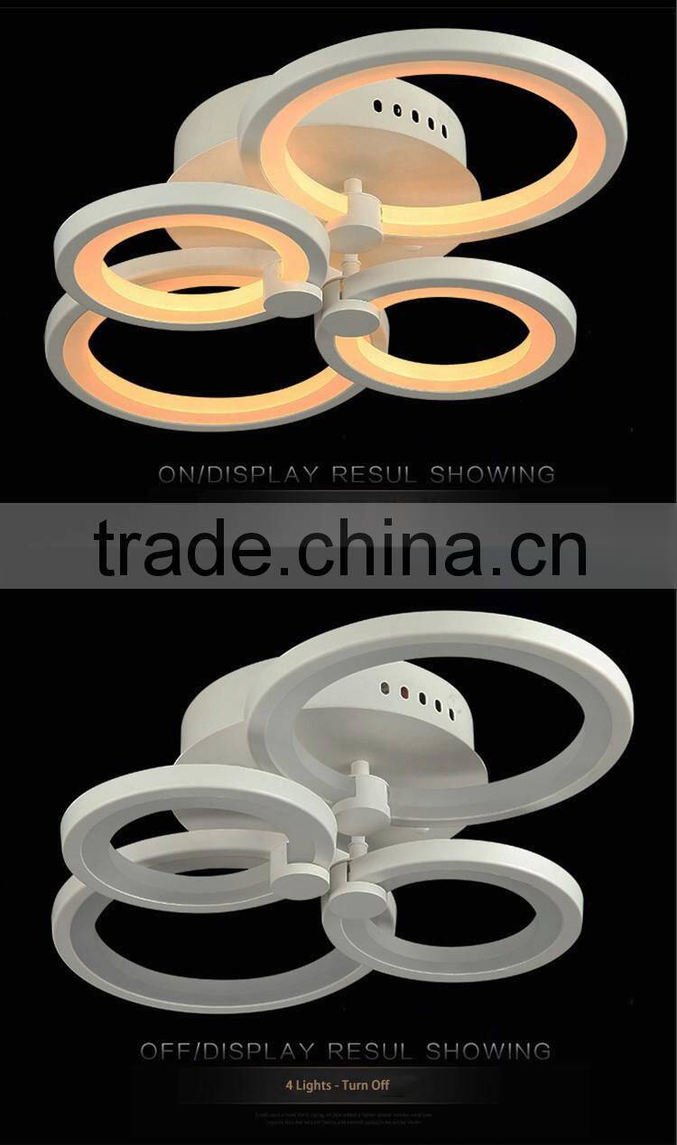 Hot Selling 100W Modern Ceiling Lights Stainless Steel 220V Simple Ceiling Lamps