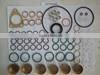 Fuel Injection Pump Repair Kit 800637