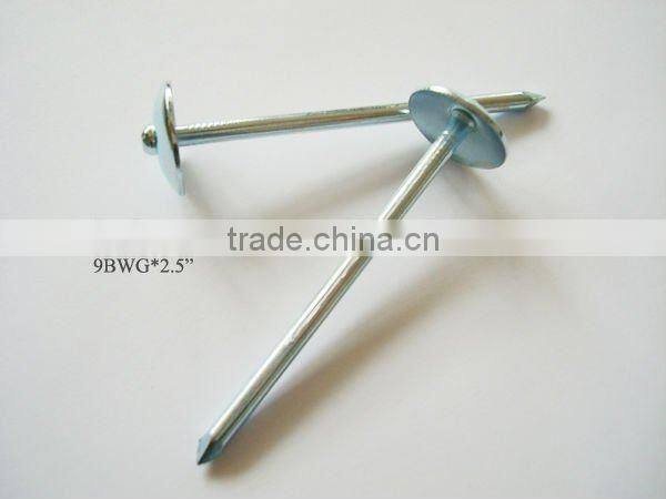 galvanized roofing nail umbrella head