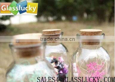 100ml colorful reed glass diffuser bottles with tampion