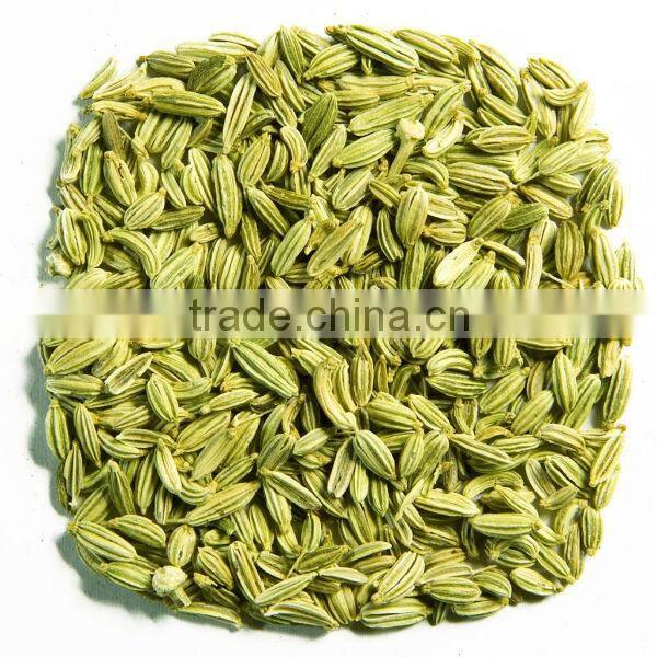 Fennel seeds supplier