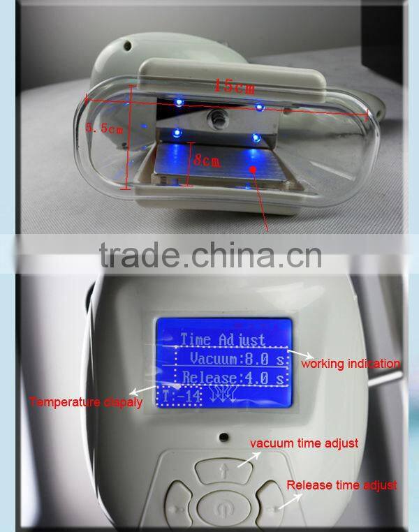 Professional body fat melting machine vacuum cryolipolysis machine price TM-908