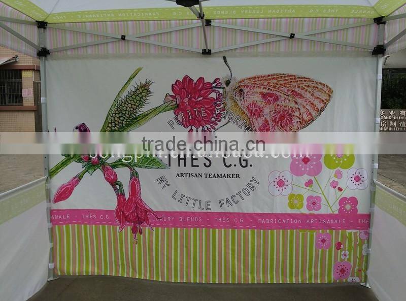 alumninum 10x10 cheap pop up advertising canopy tent