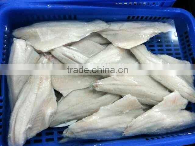 Frozen Seabass/chilean Seabass Fish Fillet
