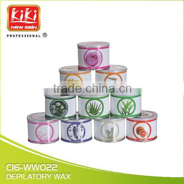 Beauty Salon Equipment. Depilatory Wax Heater.Wax Heater