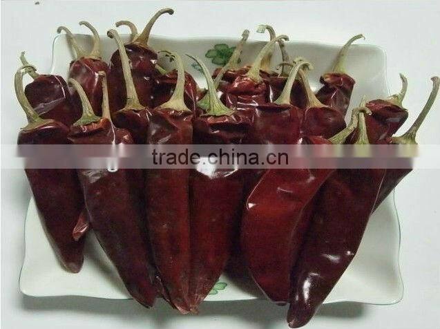 Dried Red Chilli, new crop 2013 ; American red, Jinta , Yidu chilli
