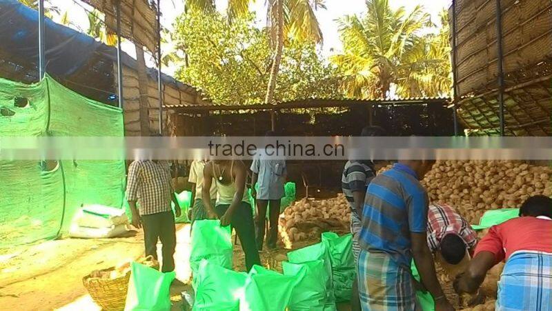 fresh coconuts from kerala
