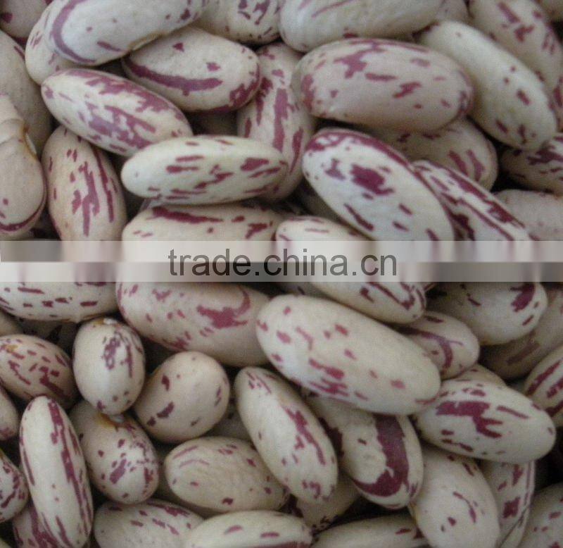 All Type Light Speckled Kidney Beans