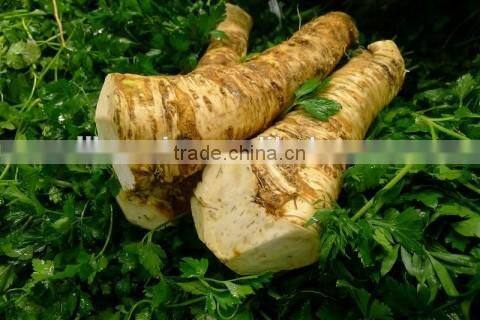 grade A horseradish powder with unique package