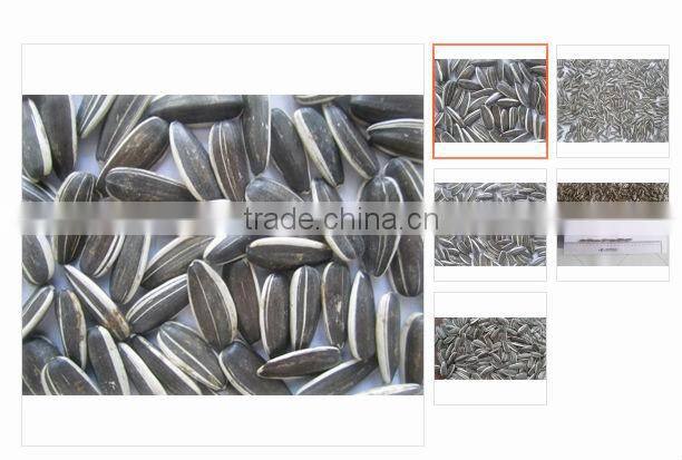 HULLED BULK BLACK FRESH SUNFLOWER SEEDS FOR SALE 2014