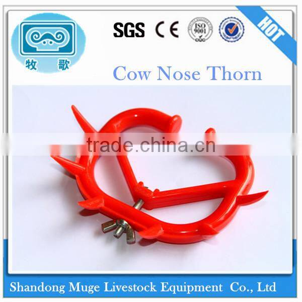 Cow Nose Thorn for Calf Ablactation